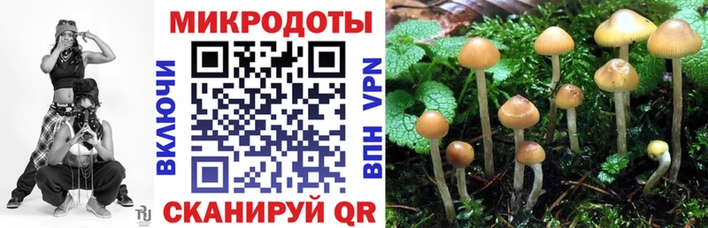 гидра   Высоцк  Галлюциногенные грибы Psilocybe  где купить наркотик 