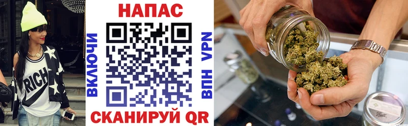 Марихуана сатива Высоцк